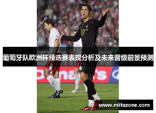 葡萄牙队欧洲杯预选赛表现分析及未来晋级前景预测