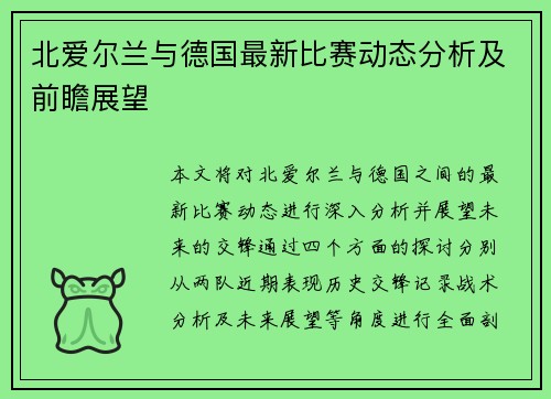 北爱尔兰与德国最新比赛动态分析及前瞻展望