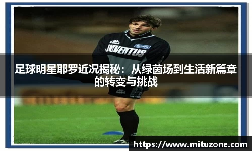 足球明星耶罗近况揭秘：从绿茵场到生活新篇章的转变与挑战