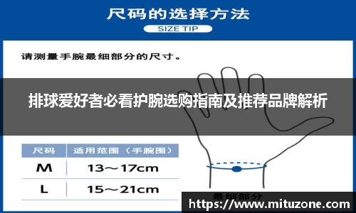 三亿(集团)体育